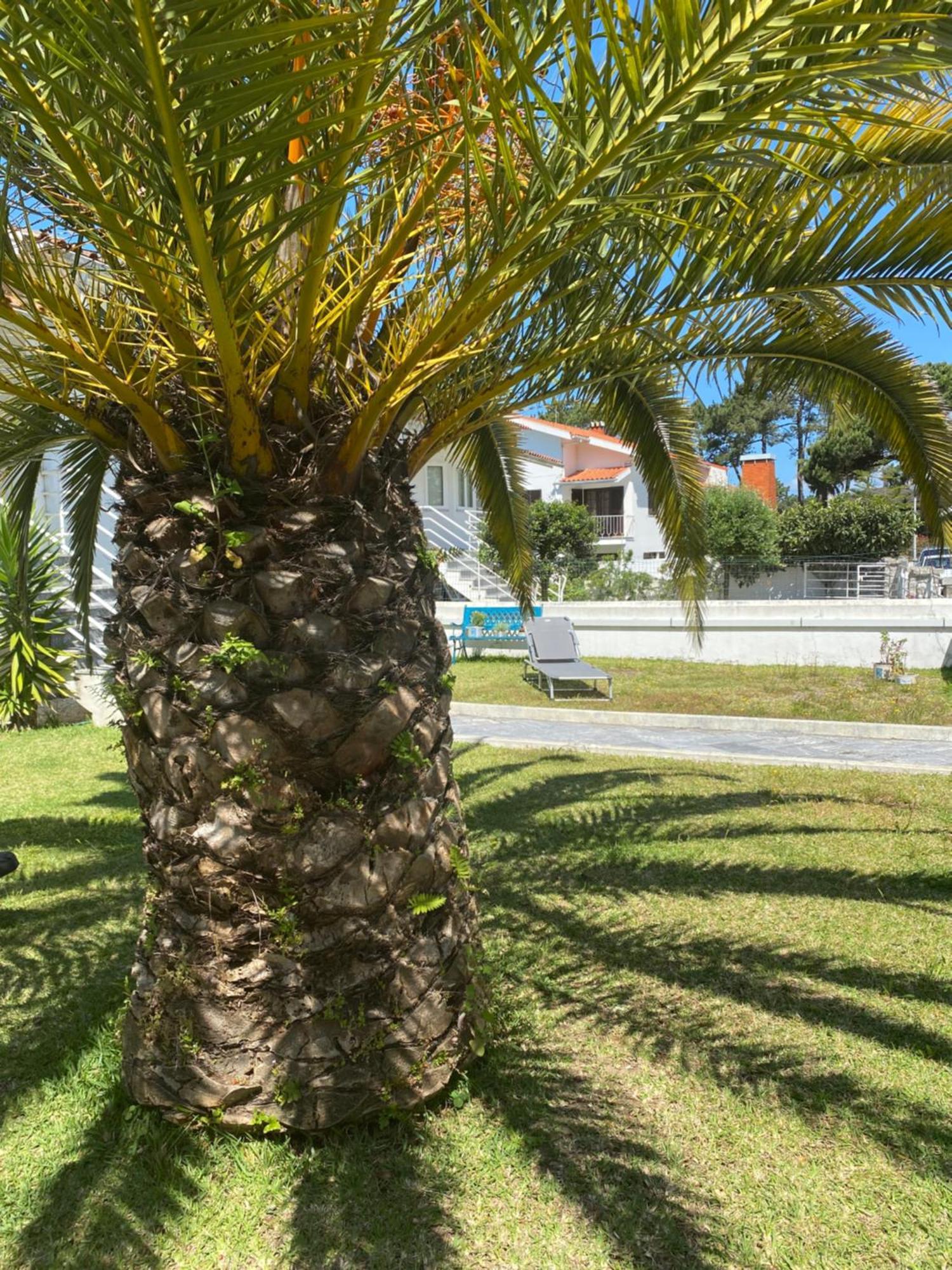 Itaca Experience Playa Do Cabedelo Apartamento Viana do Castelo Exterior foto